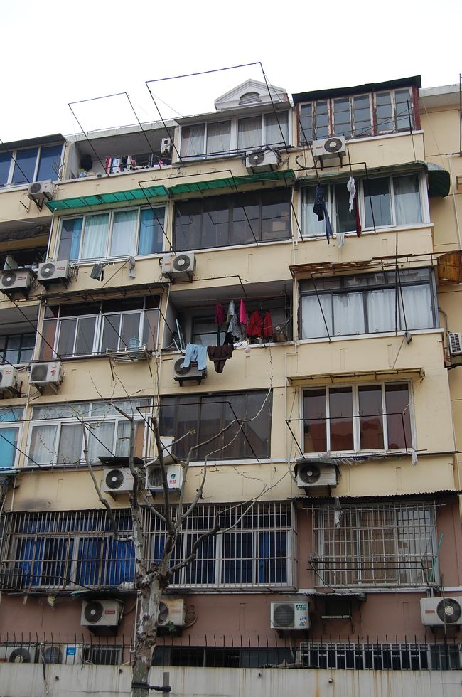 これだけあると壮観です。かなりしっかりした物で固定してあるのでしょう。