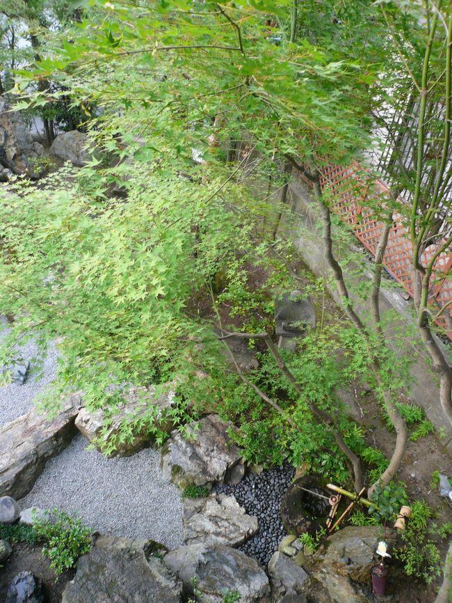 旅行最終日。<br /><br />今日は快晴！２Fからお庭をパシャリ！！