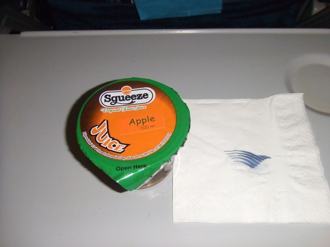 やっと飛行機に乗り、いざ日本へ☆<br /><br />まずはオレンジジュースを飲んで…