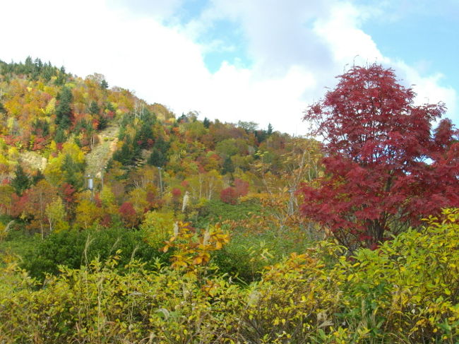 ０９ １０ 紅葉の八幡平 アスピーテライン 松川大橋 八幡平 岩手側 岩手県 の旅行記 ブログ By ゆきんこさん フォートラベル