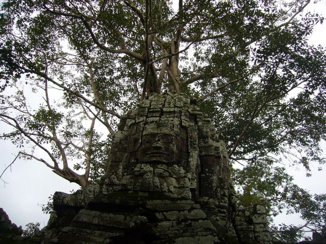 樹木と一体化する寺院。<br />タプロームと似ていますが、タソムの方が、よりひっそりと秘密めいた雰囲気。