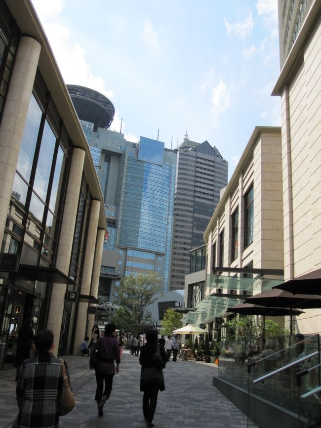 TBSが見えます。