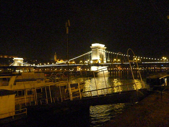 くさり橋です。<br />う〜ん船邪魔(笑)