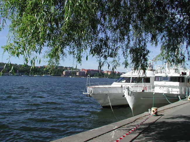 ストックホルム市内観光！なんか天気もよくて爽やかっ。