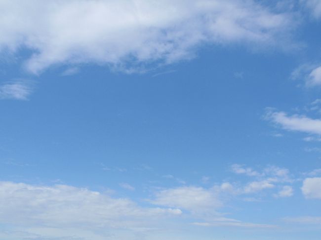 晴れてきました!!