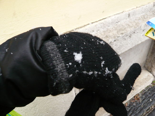 雪が降ってきました。<br />結晶が見えるくらい大粒です。<br />ふわふわでとっても綺麗☆