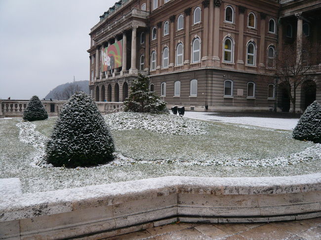 外に出ると外には雪が積もってました。