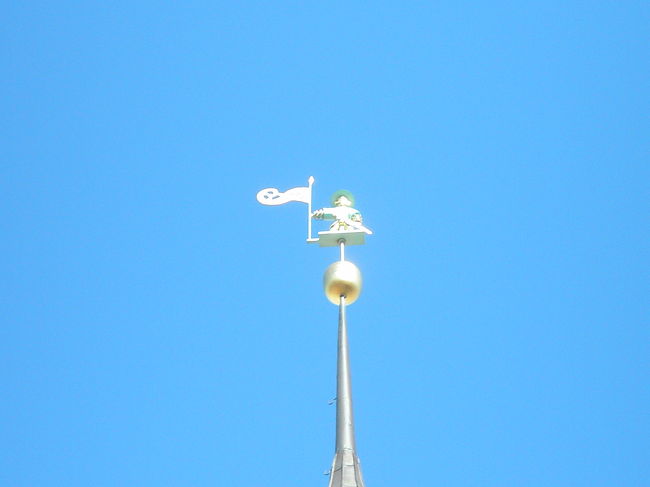 カメラでズームにして撮ってみました。<br />