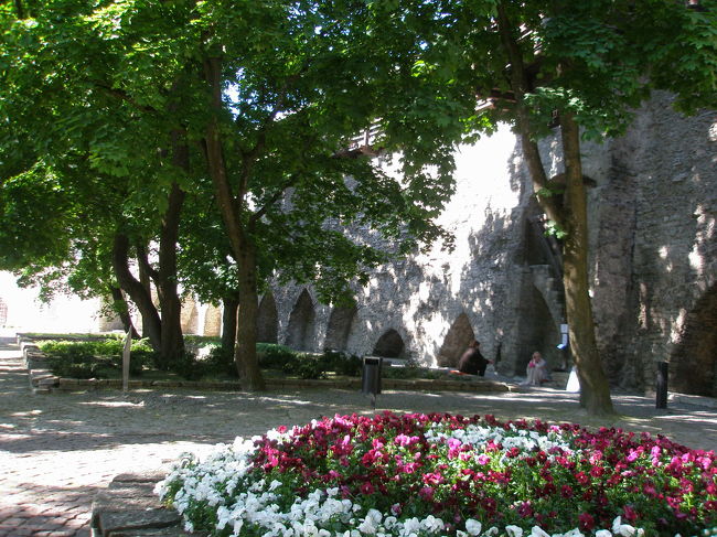 近くには、このような城壁もありますが、現在は公園になっている感じです。<br /><br />ここは「山の手エリア」の端っこにあるのですが、とても分かりにくい場所です。そして地元の人に聞いても知らないと言われました。<br /><br />エストニア人にとっては好ましくない場所だからなのかな？<br /><br />歴史的に重要な場所だと思いますが、地元の人も観光客もほとんどいませんでした。