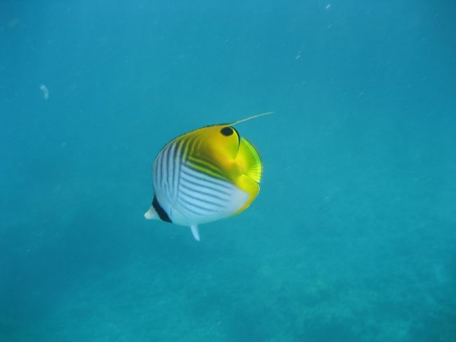 この日の海況も、決して良いとは言えないとのこと･･･<br />でも、とにかくツアーが催行され良かった、よかった♪
