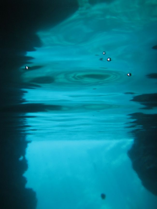 水中から。。。