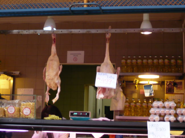 トリもぶら下がってます。