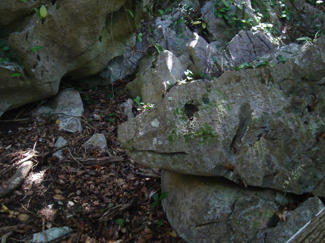 イグアナの様な奇岩や･･･