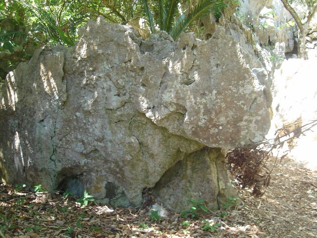 サイの様な奇岩があります。<br />