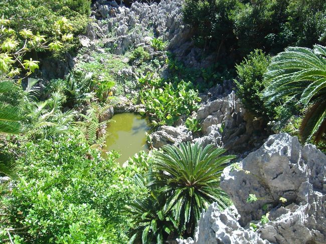 鍋池。<br />石灰岩が雨によって溶食されて出来た、くぼ地だそうです。<br /><br />なんか、ジェラシックパークの世界みたい。