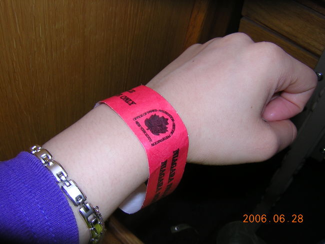 これが切符がわり。