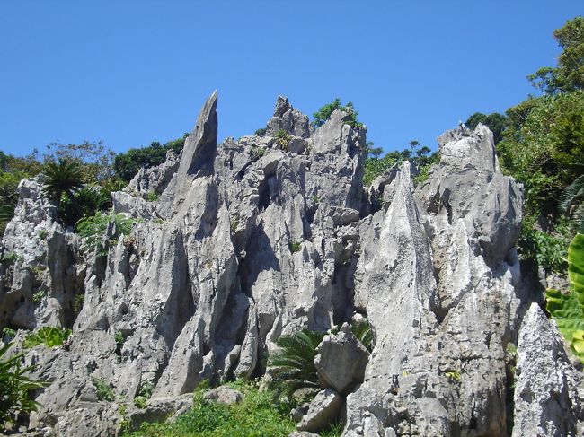 烏帽子岩。<br /><br />今回、私が歩いたコースは上り下りの激しいコースでしたが、鍋池や烏帽子岩でしたら、バリアフリーコースになっていて、車いすでも見学することができます。