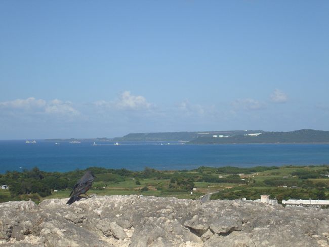 鳥さんも景色を眺めながら休憩かな？<br /><br />これで６日目の観光は終わりです。