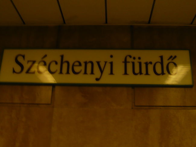 一休みして温泉へ♪<br />セーチェニ温泉に行ってきました！<br />写真はないですが、屋外プールにも行ってきました！<br />・・・扉を開けてプールまでの間に凍りそうでした<br /><br />ちょっとぬるめのプールはジャグジーや流れるプールがあってとっても楽しかったです♪