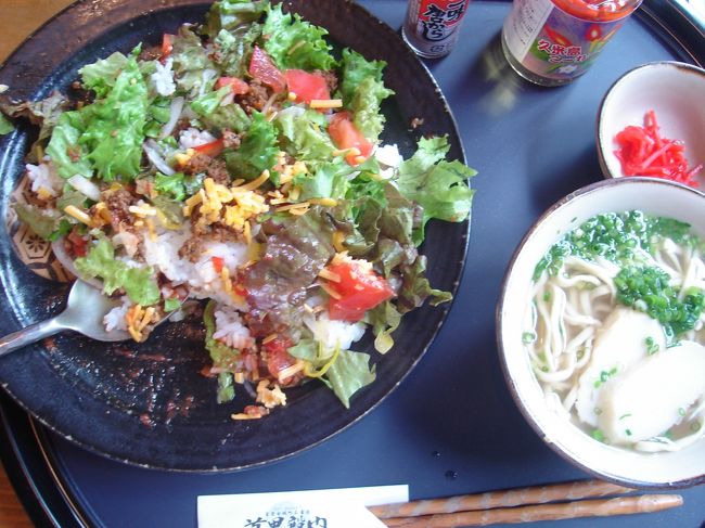 沖縄に来て、まだタコスライスを食べてなかった。<br />野菜もたくさん摂れて美味しい♪