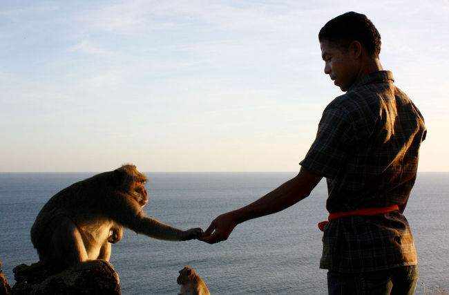 まずは絶景ポイントへ。<br />70ｍの柵も無い絶壁に猿がウロウロしていて、餌を渡しているのは私たちの担当ガイド。<br />メガネ・ピアス・帽子など…入口で誰もが注意を受けたはずなのに、次々とカスメ取られ、あちこちで悲鳴が上がる。<br />大抵は周りにいるガイドが、自分のお客とか関係なく餌などで猿を釣り、手を離したすきに回収してくれるけれど、やっぱり自己防衛は必須。