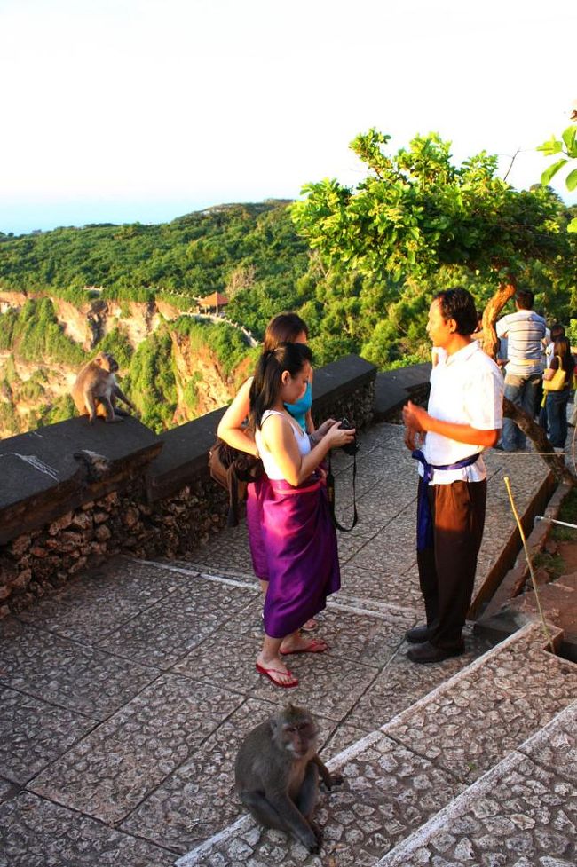 あと数cmのところまで猿たちが。<br />近くで悲鳴が上がり「ピアス取られた！」と日本人女性が驚いていて、気をつけなきゃと思った矢先に…
