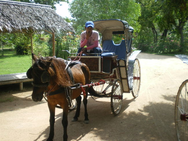 入場口よりは往復馬車で送ってくれます。入園料は<br />５００バーツ？でした。少し高い