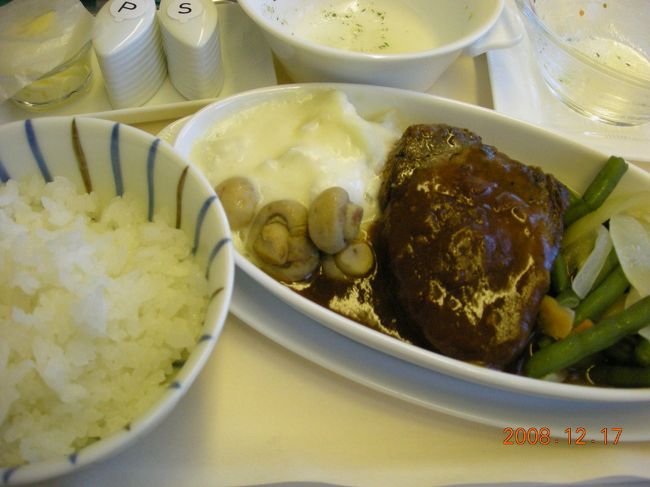 機内食のメーンはお肉。日本酒「天領」「伯楽星」とともにいただく。<br />「釣りバカ日誌」見たりガイド本を眺めたりうたた寝したりしても、１１時間２０分は長い。<br />到着前にカルボナーラとアイスクリームを食べる。