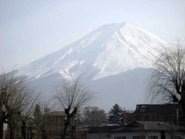 きれーい。かき氷みたい。