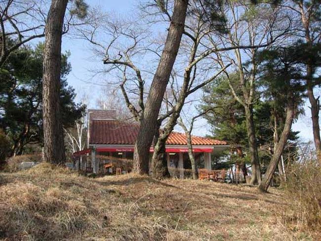 良い雰囲気ですよね。<br />緑と河口湖に囲まれたカフェタイム。