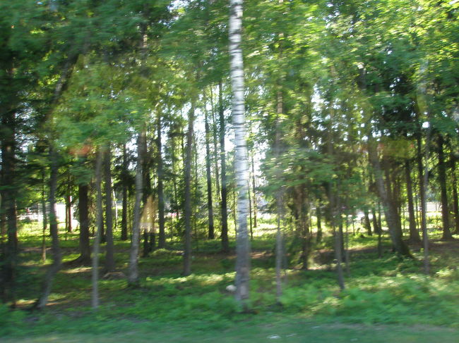 ストックホルム空港からバスに乗ります。<br /><br />ストックホルムの通貨はスウェーデンクローネ（ＳＥＫ）といいます。<br />私はレートの悪い日本から両替していったので、<br />１ＳＥＫ＝２０円です。<br /><br />ガイドブックにはもっと安く書かれています。<br />いつも思うのですが、ガイドブックのレートって円高で書かれていますよね。<br />しかも、こういったマイナー紙幣だと、実際にはレートがうんと悪いです。。。<br /><br />再び北欧ですから物価高は覚悟の上。<br /><br />この空港は市内からちょっと遠いのです。<br />移動はアーランダエクスプレス（電車）か、エアポートコーチ（バス）になります。<br /><br />電車なら市内までノンストップで20分。<br />しかし！なんと往復で８４００円<br /><br />バスなら40分かかりますが、往復３６００円で行けます。（それでも高いが・・・）<br /><br />私達はバス移動にしました。<br />ストックホルム空港も、ヘルシンキと同様、郊外にあるので、周りはとっても自然豊か。<br />景色も楽しみましたよ。