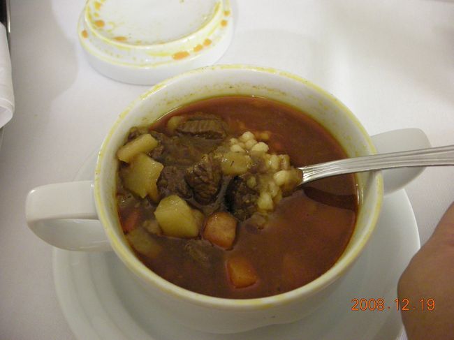 疲れたのでルームサービス。<br />Gulyasleves（グヤーシュ）のスープとステーキ。<br />グヤーシュはお肉がしっかり入って、結構腹持ちのいいスープ。<br />比較的あっさりとした味で気に入った。<br />