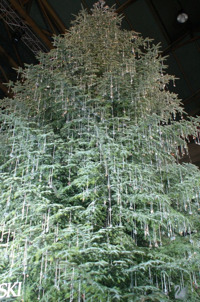 うおーーーー、スワロフスキーのクリスマスツリーだ。<br />いくらぐらいするんだろ？