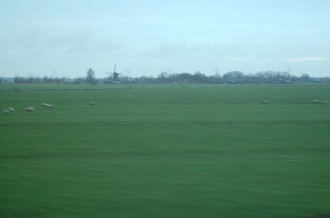牧草地に風車。想像していたオランダの風景。