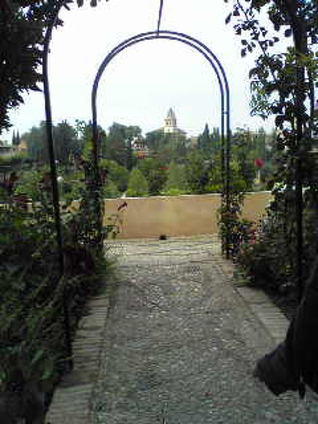 グラナダ着　８：１０、途中カフェで少し時間をつぶし、ヘネラリフェ庭園に入った。この庭園は、アルハンブラ城外、チノス坂を挟んだ「太陽の丘」にある。<br />写真は庭園からアルハンブラ宮殿をみたところ。<br /><br />トラブルがあり、カメラのバッテリーが消耗し、肝心のアルハンブラ宮殿というのに、本日は、携帯のカメラでしのがざるを得なくなった。<br />