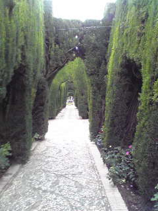 ヘネラリフェ庭園