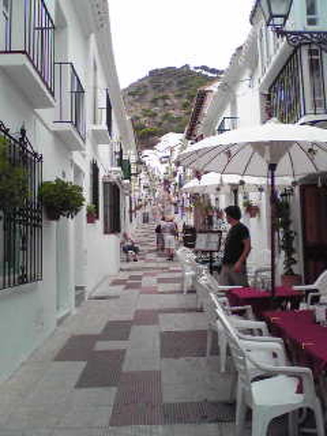 グラナダのアルハンブラ宮殿のそばのレストランで、イカの墨煮とガスパチョ（冷たい野菜のスープ）の昼食を取った後、バスで白い村「ミハス」へ。<br />ミハスは丘の上の小さな村でコスタ・デル・ソルの特徴である可愛い小さな白壁の家が連なる観光の村です。