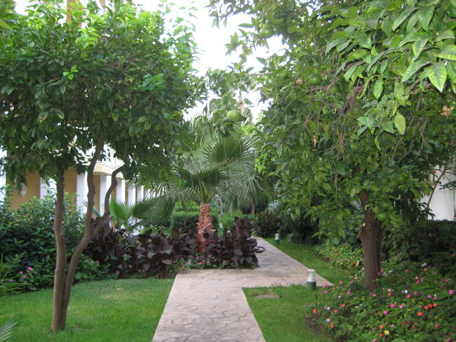 ホテルはMelia Marbella Dinamar（メリア・マルベーヤ・ディナマール）で綺麗なリゾートホテルだった。開放的で、治安もよさそうで、ゆったりできそう。海岸にも近い。<br />写真はホテルの中庭。