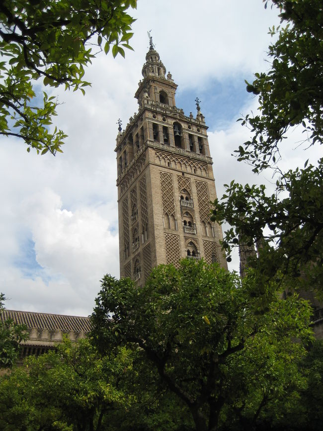 再びバスに乗り込み、次の訪問地セビリアへ。<br />セビリアは人口７０万人でアンダルシアの州都であり、マドリッド、バルセロナ、バレンシアに次ぐスペイン第４の都市。<br />写真は、セビリア大聖堂とヒラルダの塔。このカテドラルは世界で３番目（サンピエトロ大聖堂、セントポールに次ぐ）の規模を誇り、ヒラルダの塔はこの町の象徴的な存在。<br />