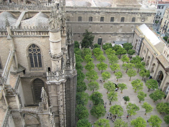 ヒラルダの塔は階段でなく、らせん状の道になっており、約１５分くらいで展望台に到着。<br />写真はヒラルダの塔からカテドラルの中庭を見下ろしたもの。