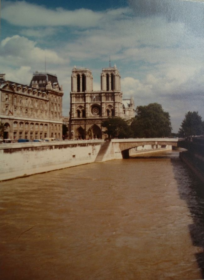 セーヌ川。<br />水は茶色に濁っており、綺麗とは言い難い。<br />川に近い建築物はノートルダム寺院。
