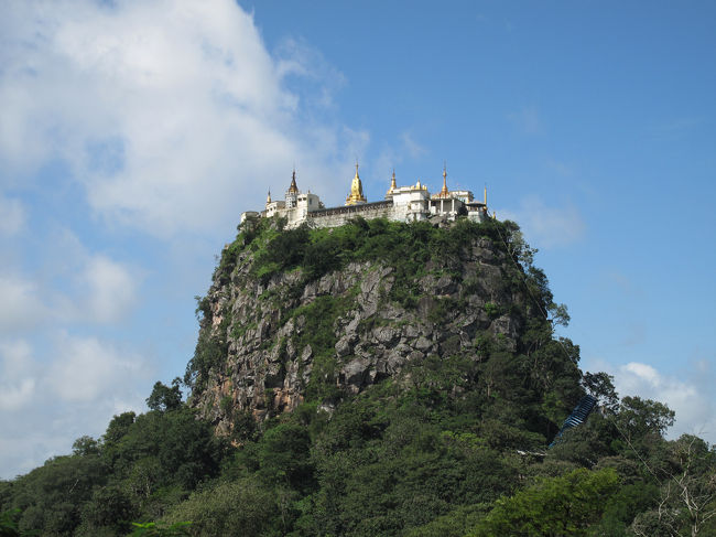 変わった形してるなぁ。