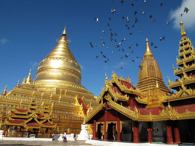 ホテルに戻り朝食を食べ終えると、再びチャリで仏塔巡りだ。<br />最初に向かったのはシュエズィーゴォン・パヤー。<br />黄金の仏塔が美しい。<br />