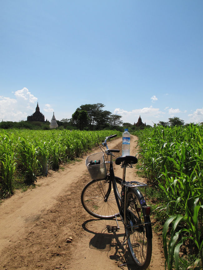 スラマニ寺院まであと少し！