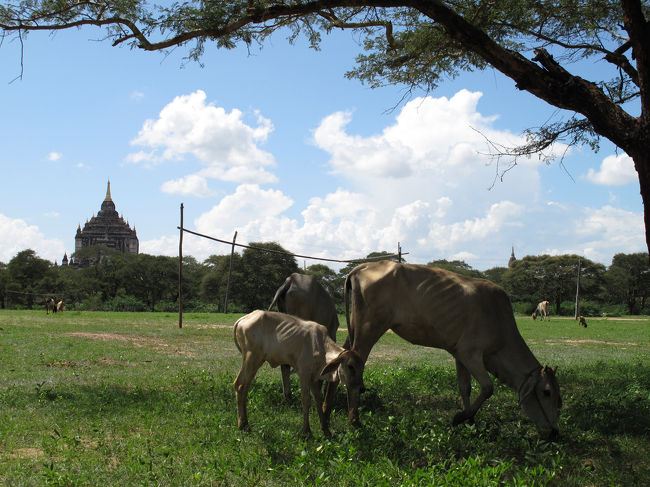腹減ってきたし、そろそろホテルへ戻りますか。