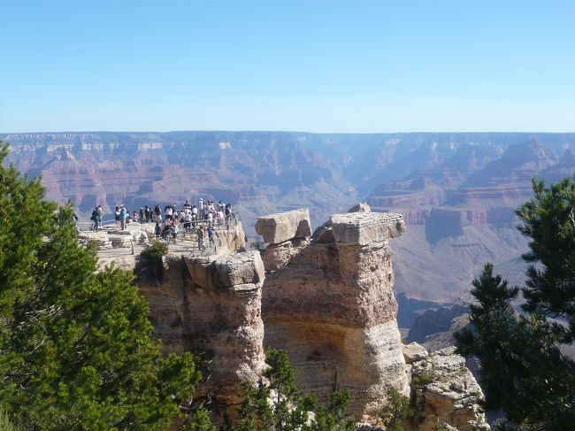 グランドキャニオンの観光ポイントへ。<br />快晴でかんかんでりでした。夏に行く時は日焼け止めとサングラス、帽子は必需品です。