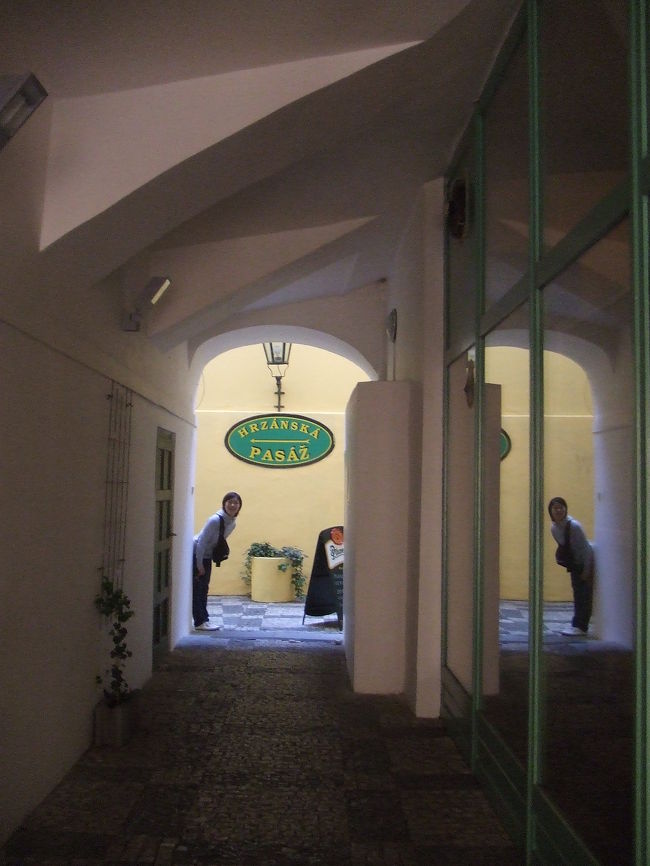 「やぁ」とのぞいているのは、相棒Mちゃん。