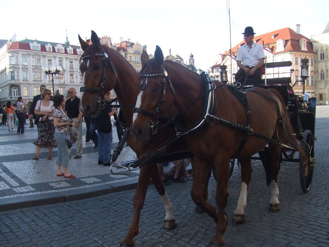 そこのけ、そこのけお馬が通る〜♪<br />雀の子ではなく、人だかりのなかを堂々と通っていきました。観光馬車です。