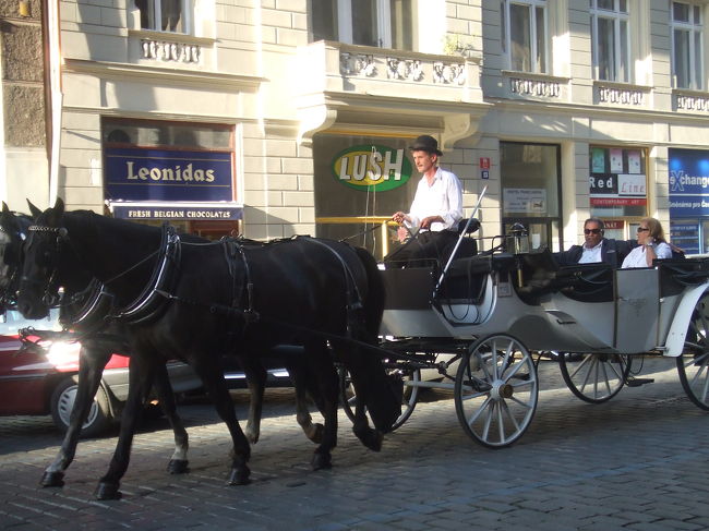 旧市街広場からヴルタヴァ川に向かう途中でも、馬車に出会いました。ポク、ポクと鳴る蹄の音が心地よいわ〜。