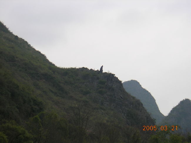 何に見えますか？